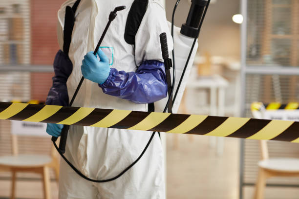 Professional Sewage Cleanup technician working in Palm Beach, FL